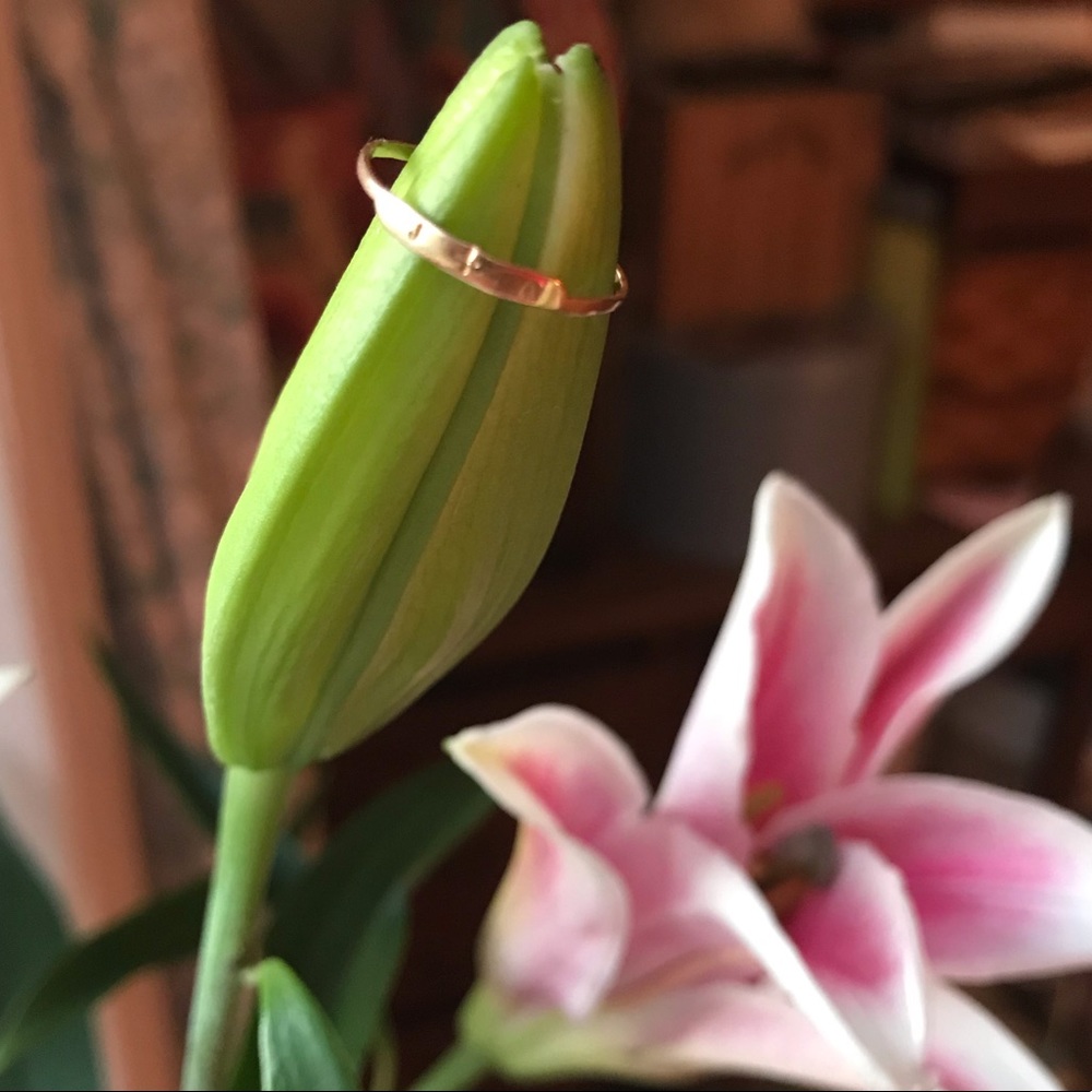 Dainty 14k Yellow Gold J + A Initials Ring